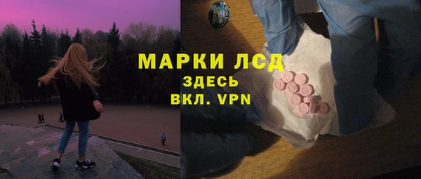 шишки Арсеньев