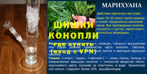 шишки Арсеньев