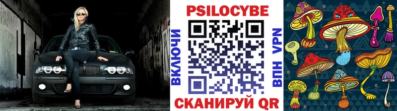 Купить где  Ряжск  Галлюциногенные грибы мицелий 